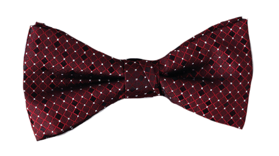 Noeuds papillon - homme