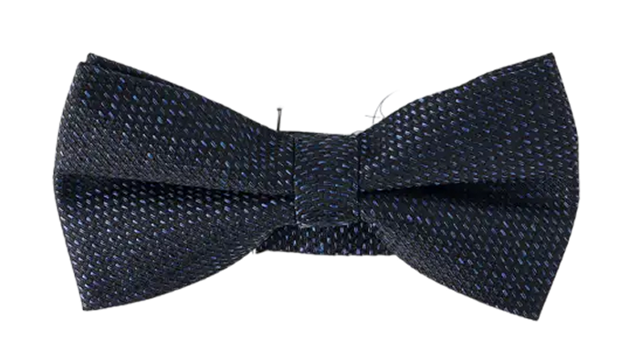 Noeuds papillon - homme